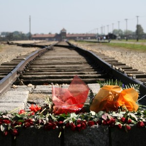 Auschwitz-Birkenau - Rakowicki cemetery - Nowa Huta